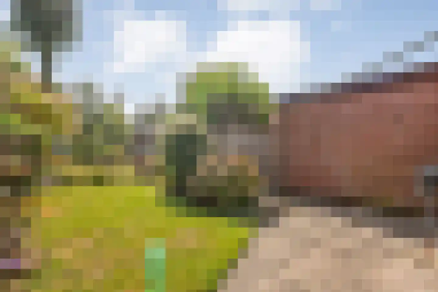 Berendinastraat 41 Hengelo thumbnail 41