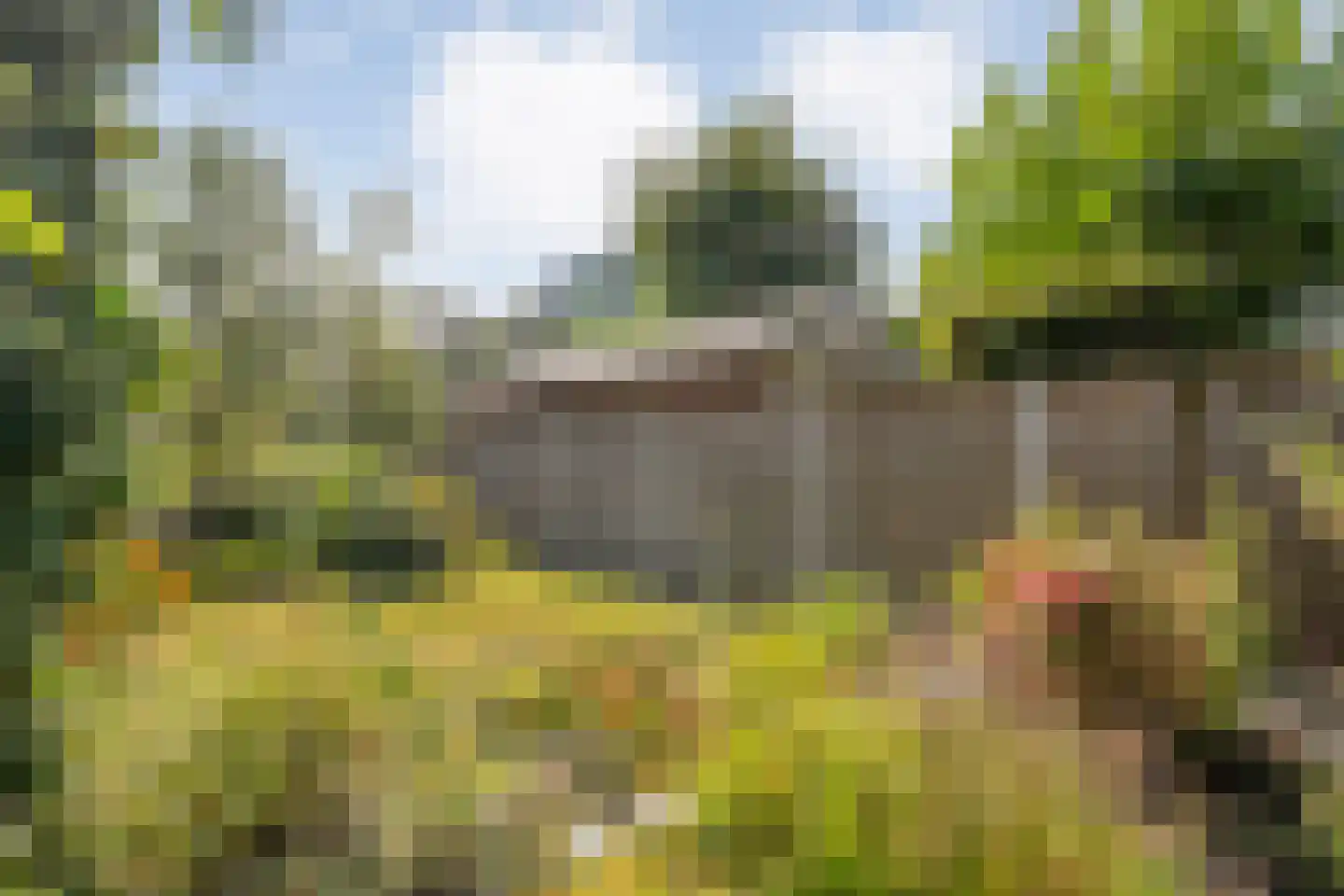 Berendinastraat 41 Hengelo thumbnail 44