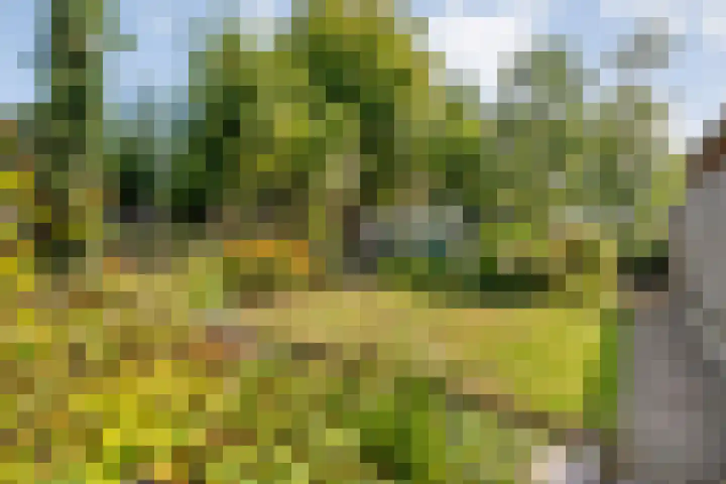 Berendinastraat 41 Hengelo thumbnail 46