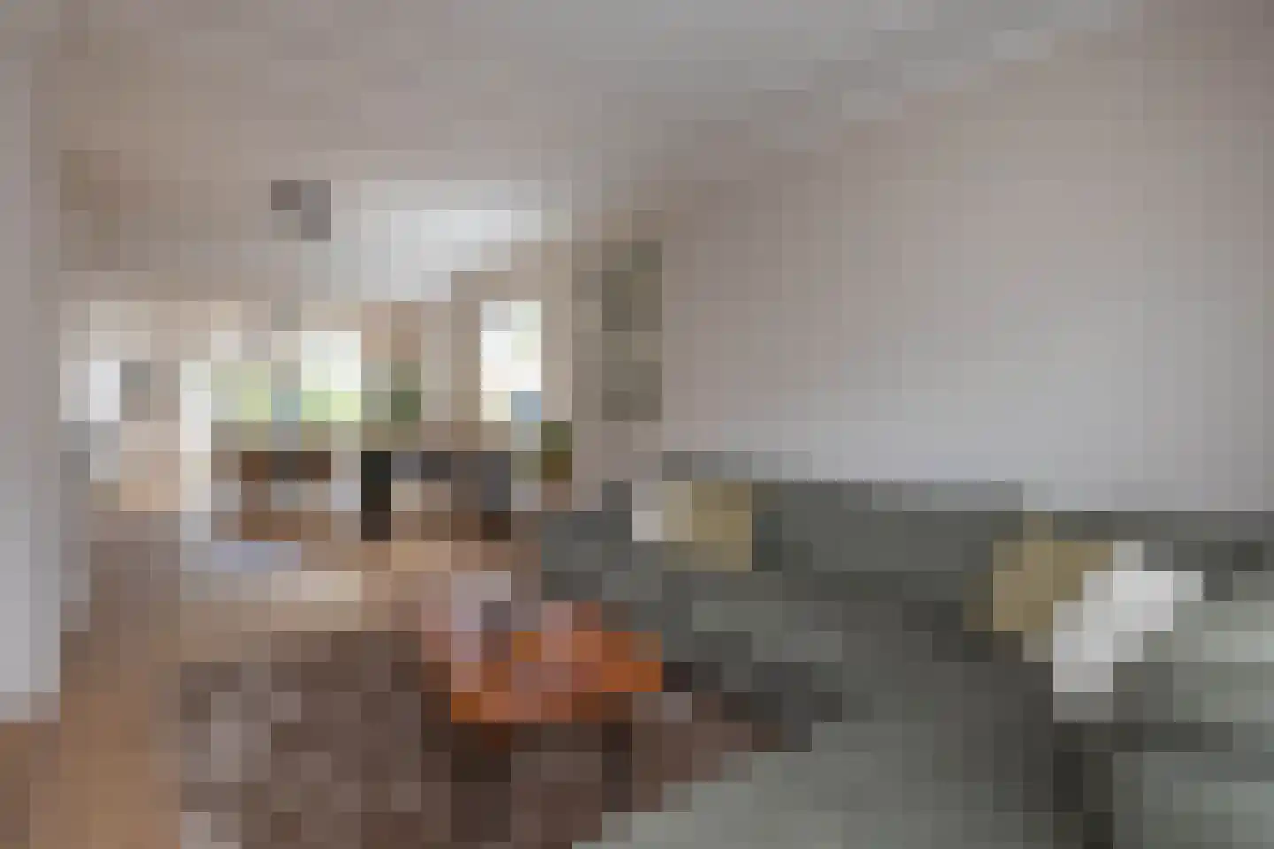 Berendinastraat 55 Hengelo thumbnail 13