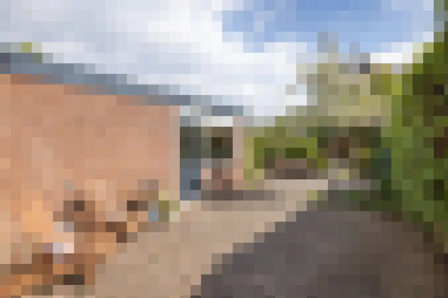 Berendinastraat 55 Hengelo thumbnail 32