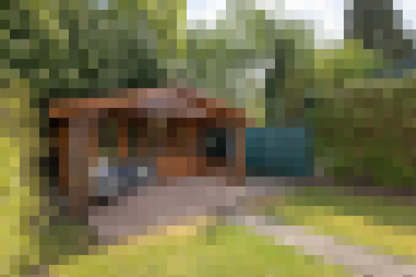 Berendinastraat 55 Hengelo thumbnail 37
