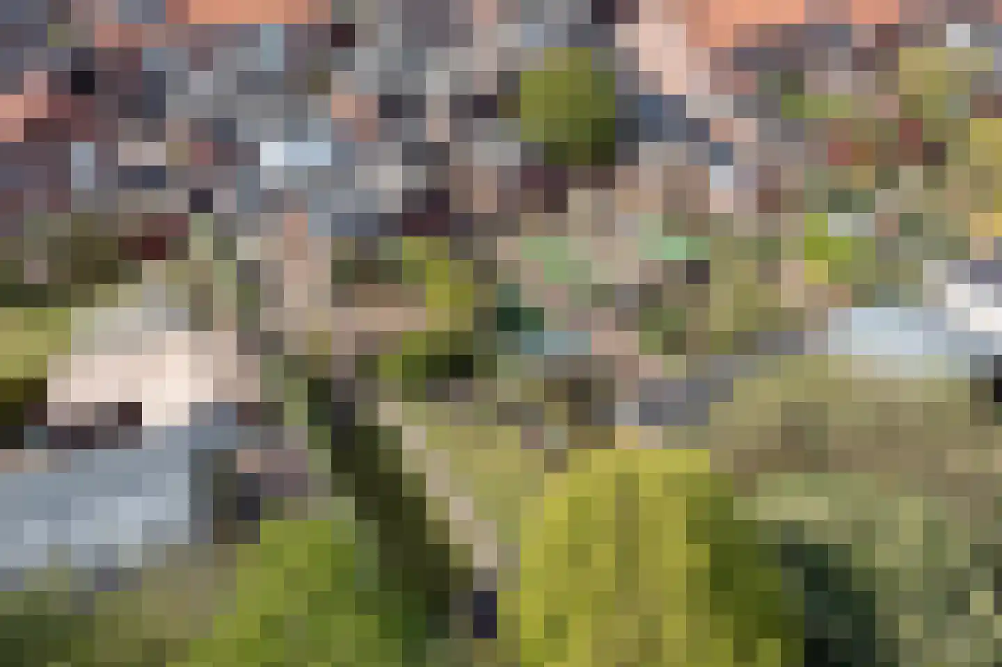 Berendinastraat 55 Hengelo thumbnail 52