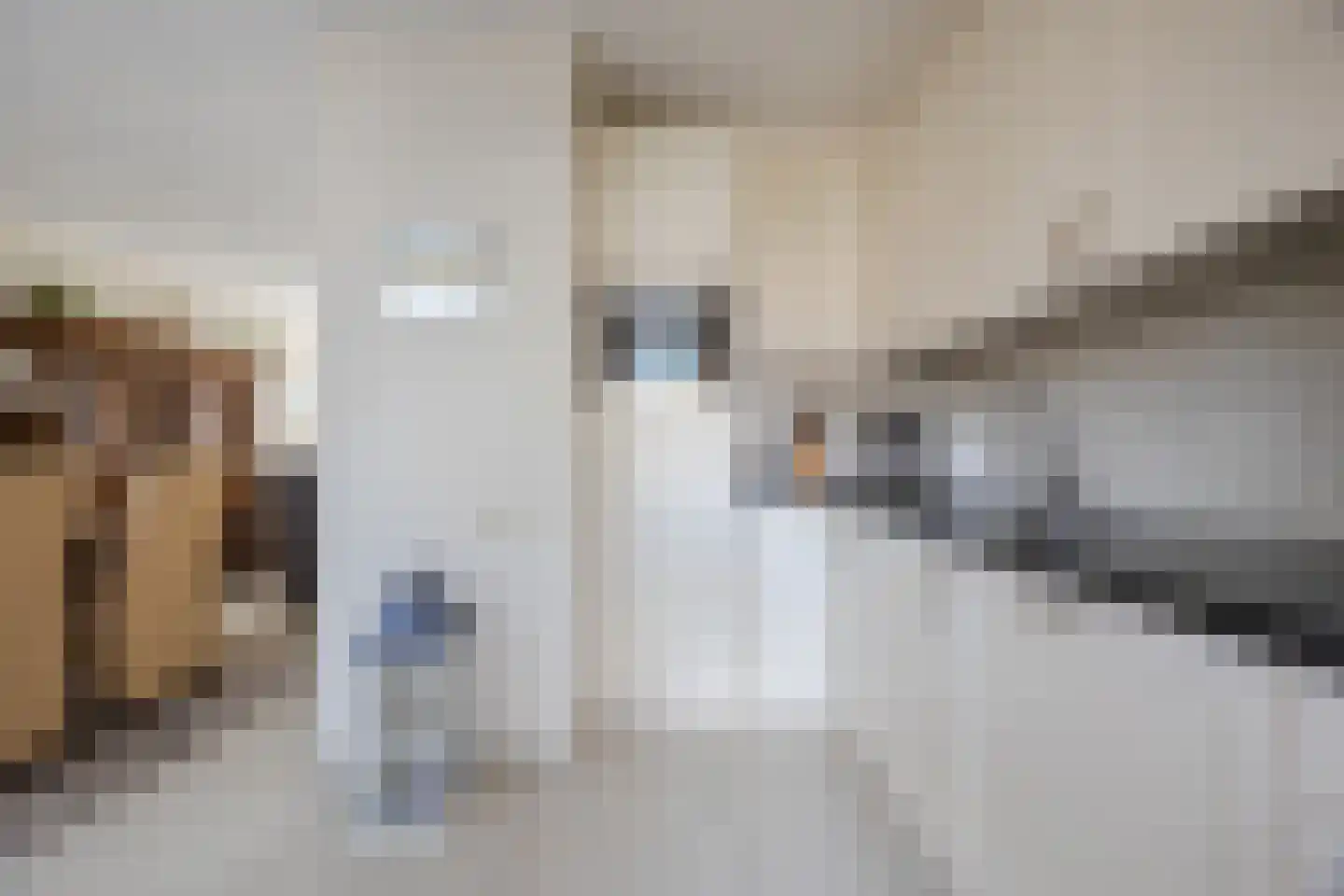 Berendonk 16 Oosterhout thumbnail 14