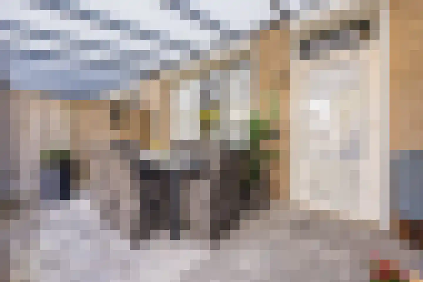 Berendonk 16 Oosterhout thumbnail 31