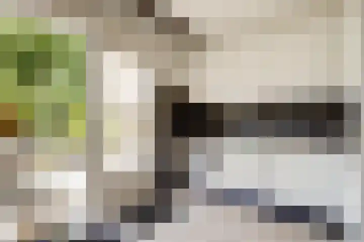 Berendonk 7 Raamsdonksveer thumbnail 12