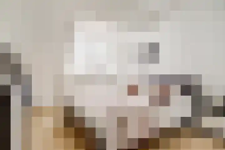 Berendonk 7 Raamsdonksveer thumbnail 14
