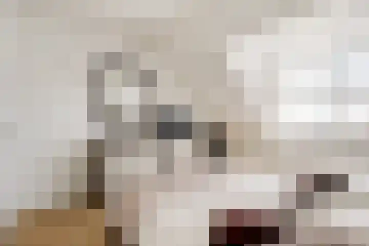 Berendonk 7 Raamsdonksveer thumbnail 15