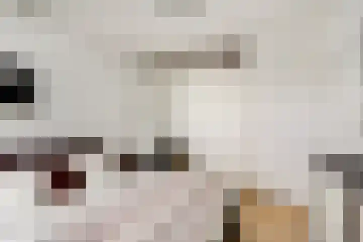 Berendonk 7 Raamsdonksveer thumbnail 16