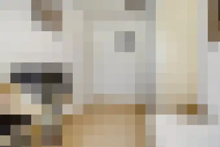 Berendonk 7 Raamsdonksveer thumbnail 18