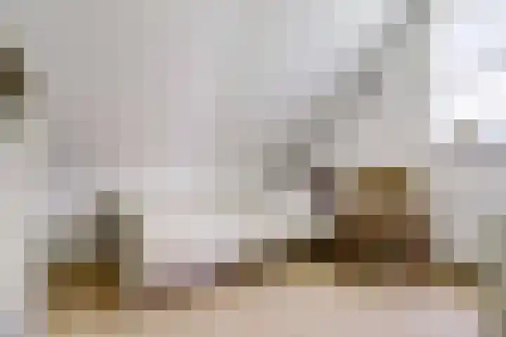 Berendonk 7 Raamsdonksveer thumbnail 19