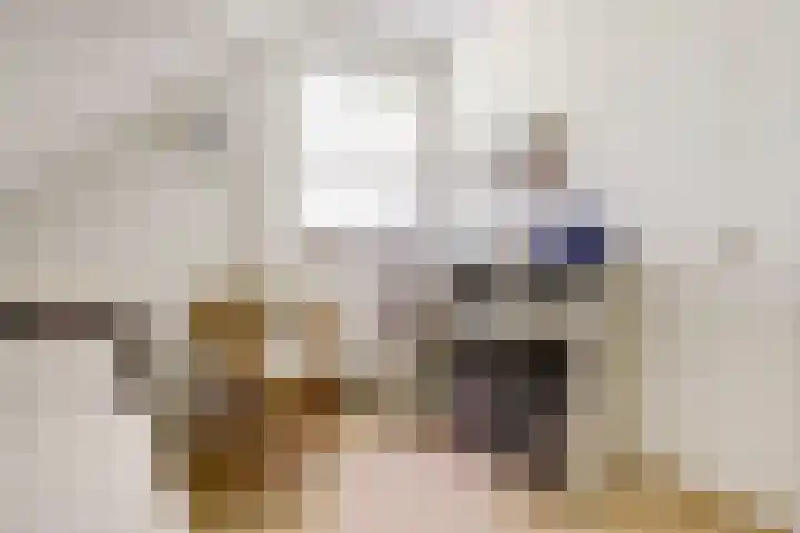 Berendonk 7 Raamsdonksveer thumbnail 20