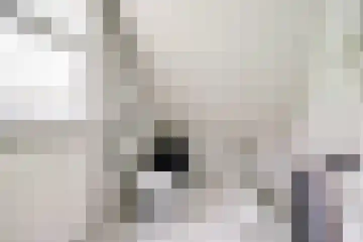Berendonk 7 Raamsdonksveer thumbnail 21