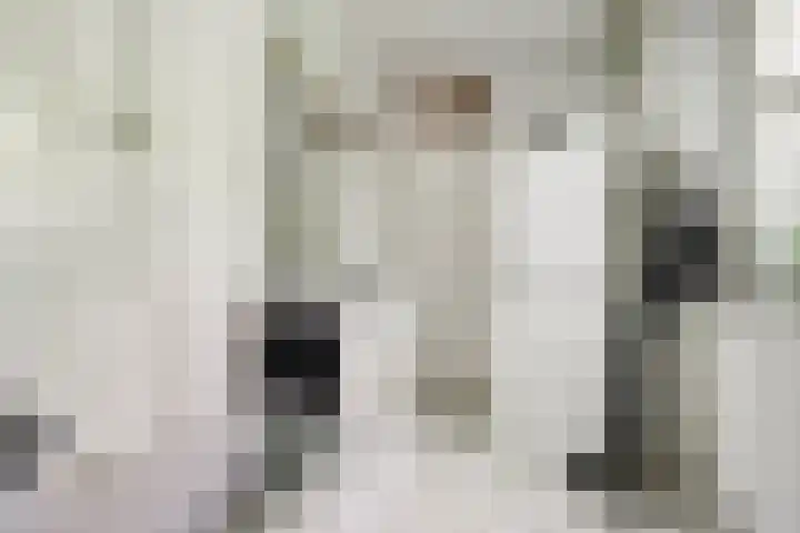 Berendonk 7 Raamsdonksveer thumbnail 22