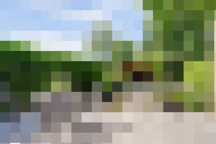 Berendonk 7 Raamsdonksveer thumbnail 26
