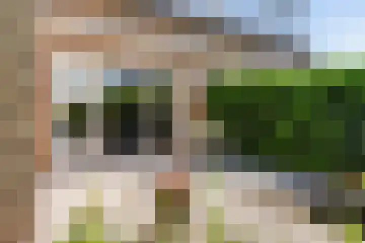 Berendonk 7 Raamsdonksveer thumbnail 27