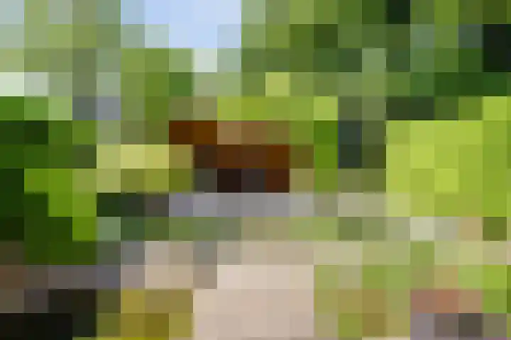 Berendonk 7 Raamsdonksveer thumbnail 28
