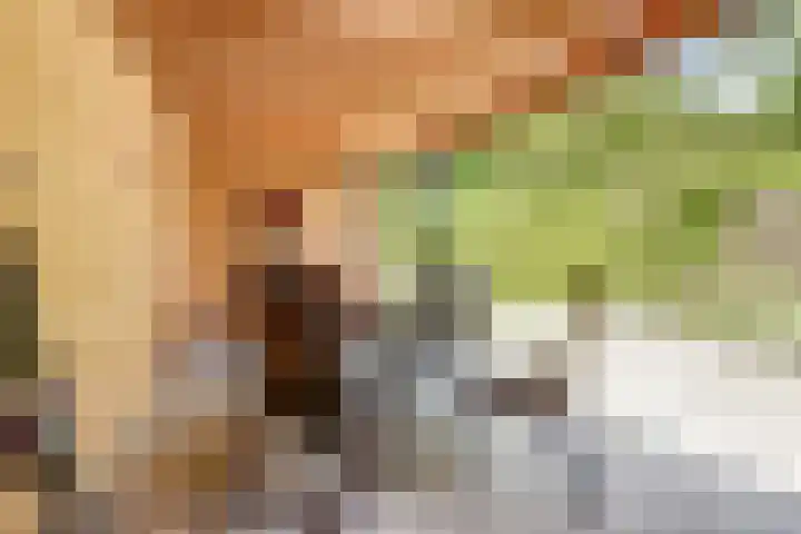 Berendonk 7 Raamsdonksveer thumbnail 30