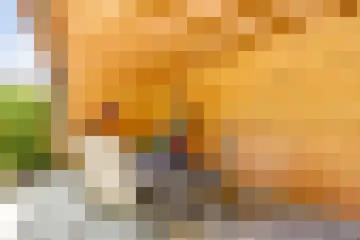 Berendonk 7 Raamsdonksveer thumbnail 31