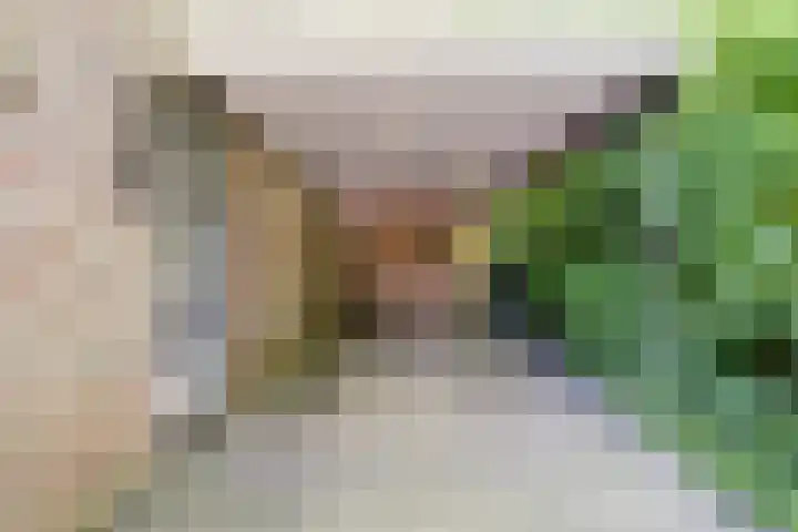 Berendonk 7 Raamsdonksveer thumbnail 33