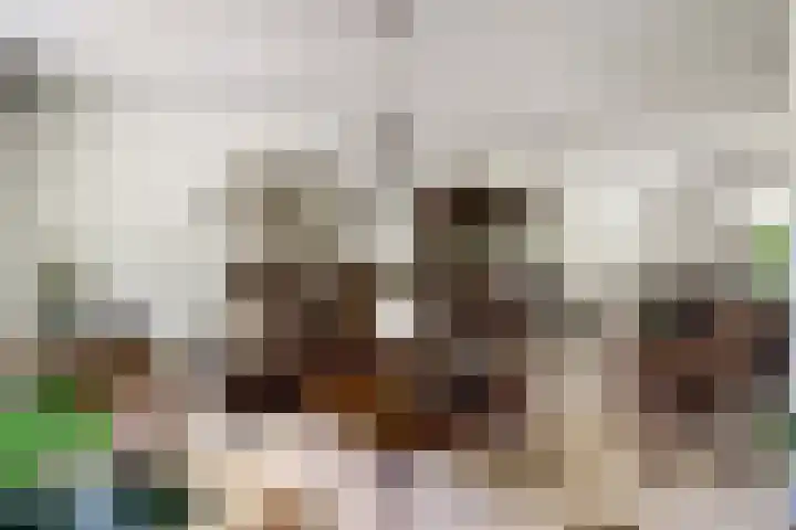 Berendonk 7 Raamsdonksveer thumbnail 7