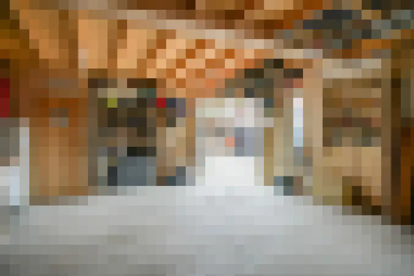 Berenhoeksestraat 37 Wijk en Aalburg thumbnail 29