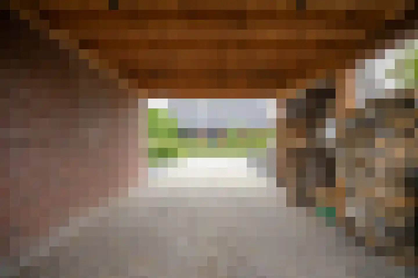 Berenhoeksestraat 37 Wijk en Aalburg thumbnail 31