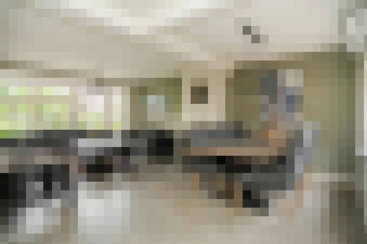 Berenhoeksestraat 37 Wijk en Aalburg thumbnail 5