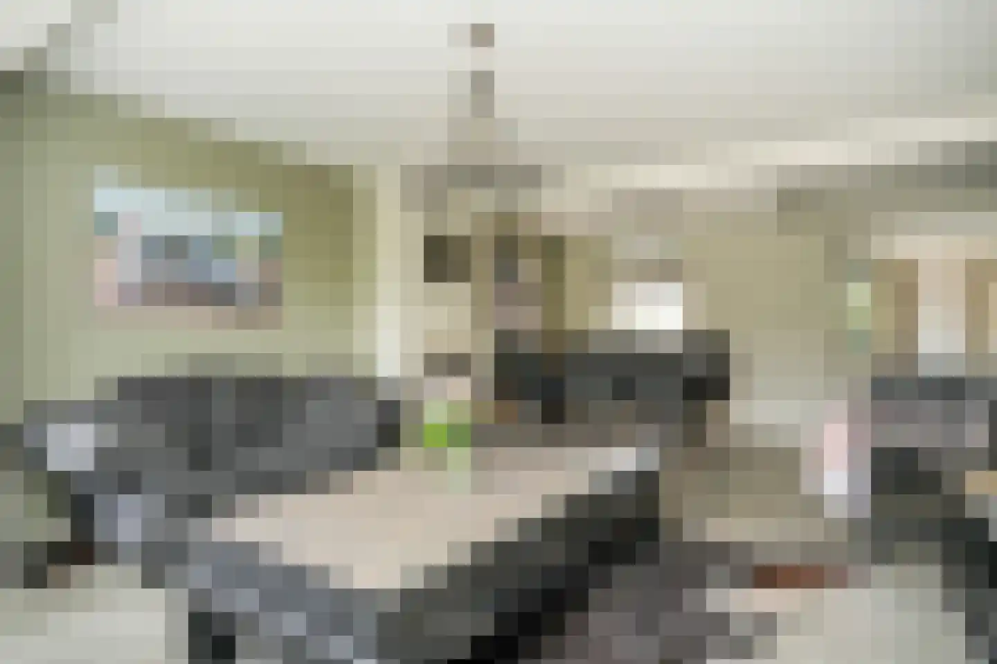 Berenhoeksestraat 37 Wijk en Aalburg thumbnail 7