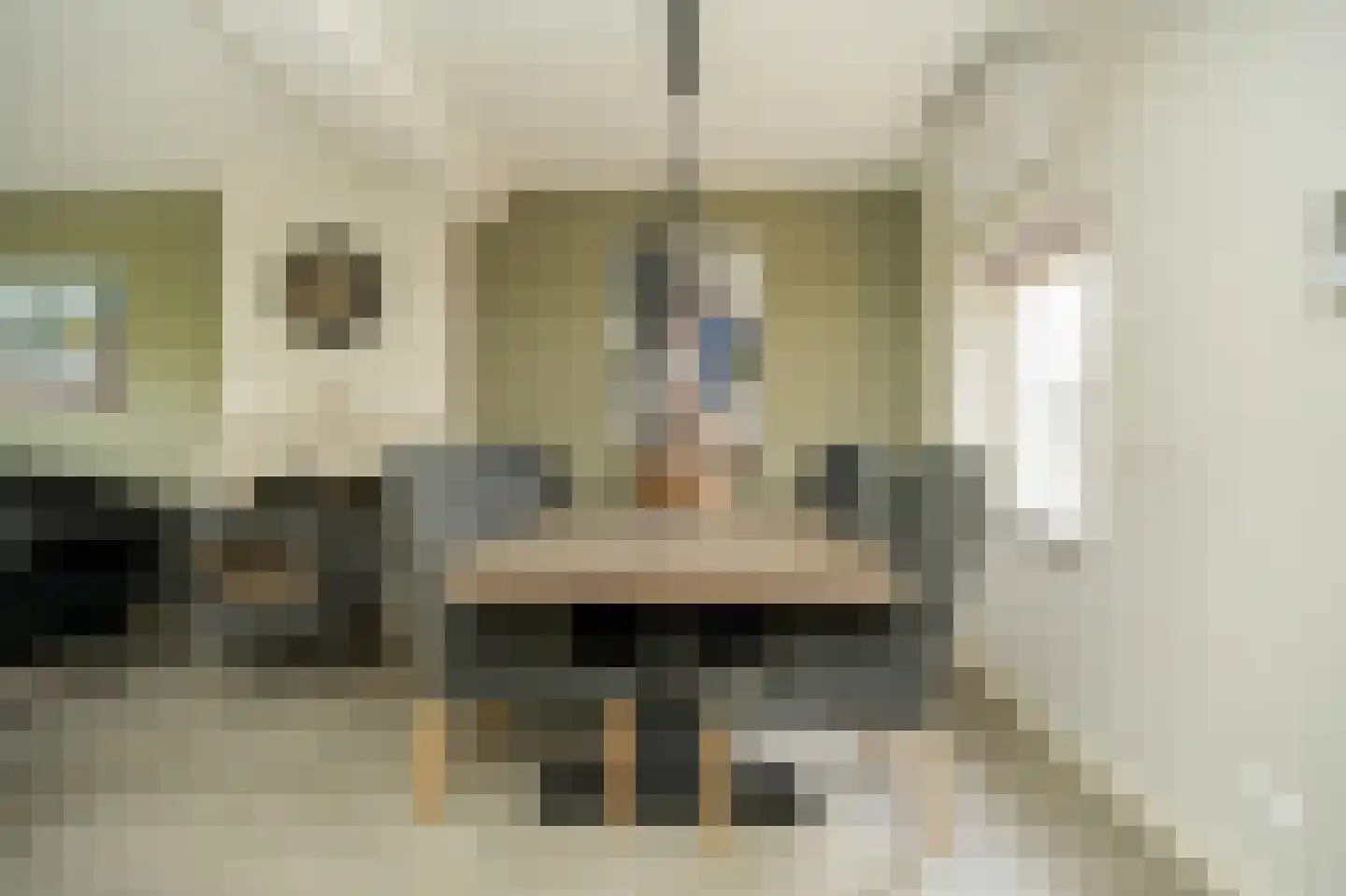 Berenhoeksestraat 37 Wijk en Aalburg thumbnail 9