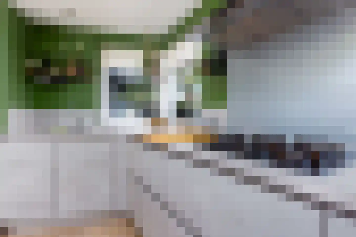 Berenicestraat 9 Tolkamer thumbnail 19