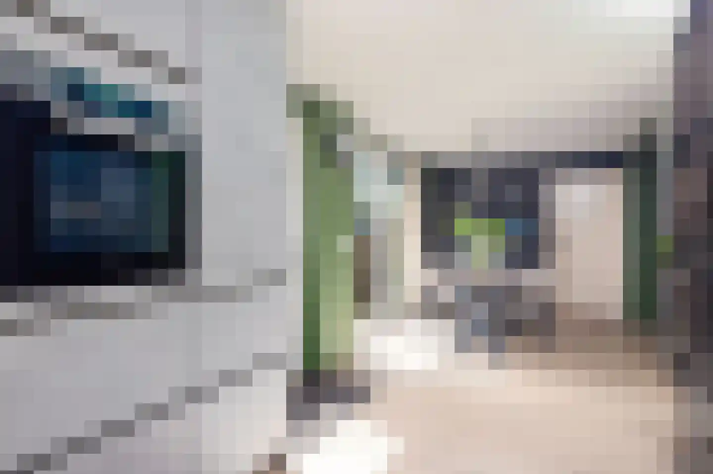 Berenicestraat 9 Tolkamer thumbnail 20