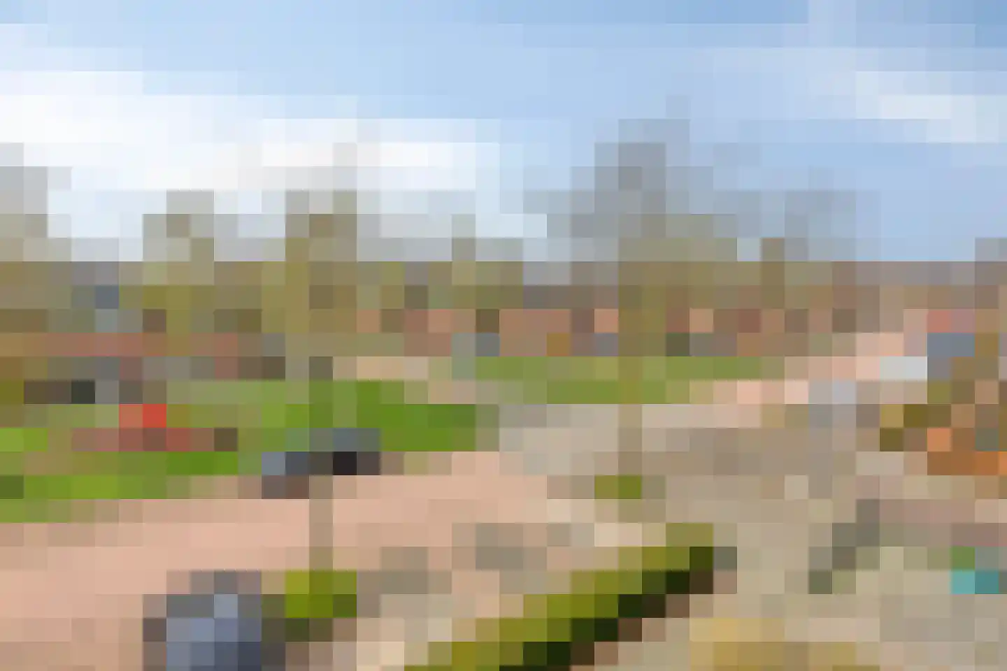 Berenklauw 192 's-Hertogenbosch thumbnail 19