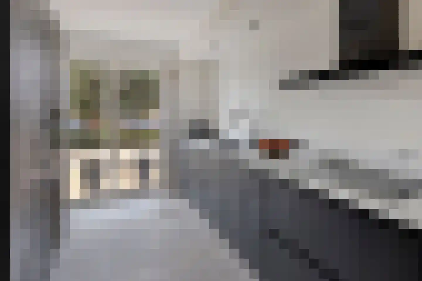 Berenklauw 192 's-Hertogenbosch thumbnail 7