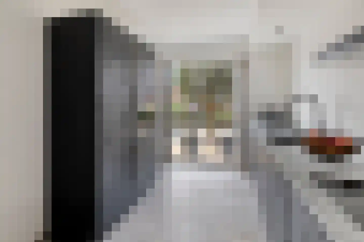 Berenklauw 192 's-Hertogenbosch thumbnail 8