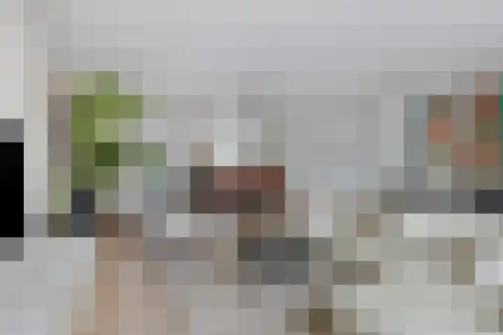 Berenklauw 222 's-Hertogenbosch thumbnail 10