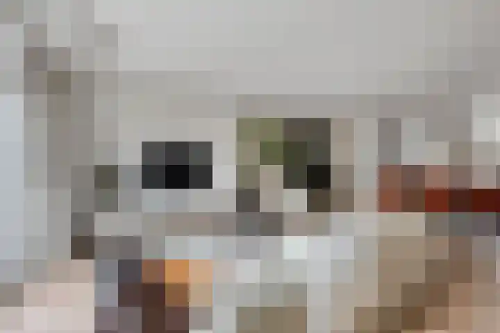 Berenklauw 222 's-Hertogenbosch thumbnail 12