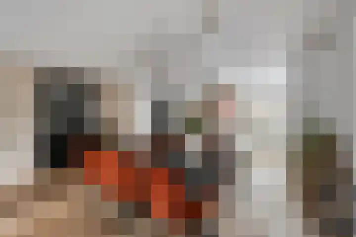 Berenklauw 222 's-Hertogenbosch thumbnail 14