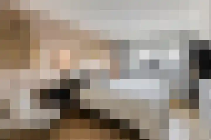 Berenklauw 222 's-Hertogenbosch thumbnail 20
