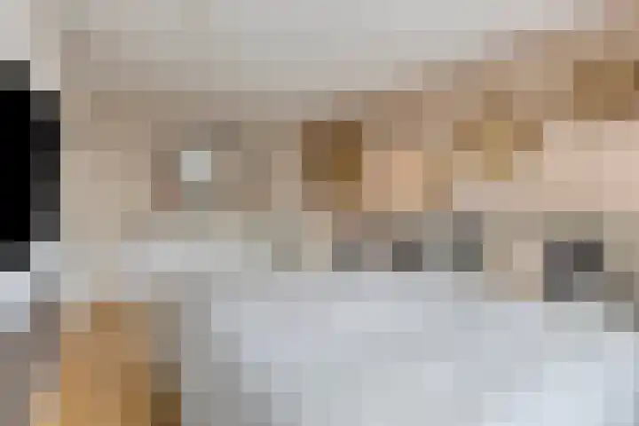 Berenklauw 222 's-Hertogenbosch thumbnail 21