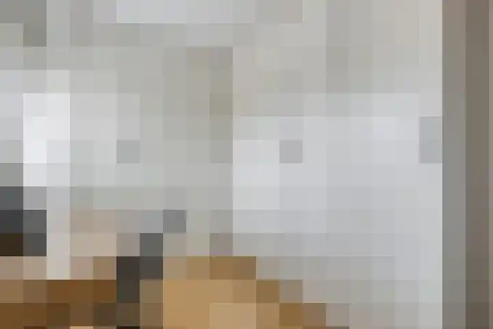Berenklauw 222 's-Hertogenbosch thumbnail 22