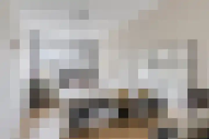 Berenklauw 222 's-Hertogenbosch thumbnail 28