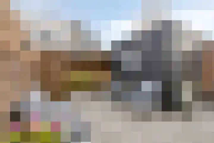 Berenklauw 222 's-Hertogenbosch thumbnail 35