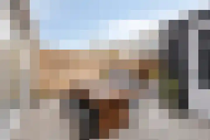 Berenklauw 222 's-Hertogenbosch thumbnail 36
