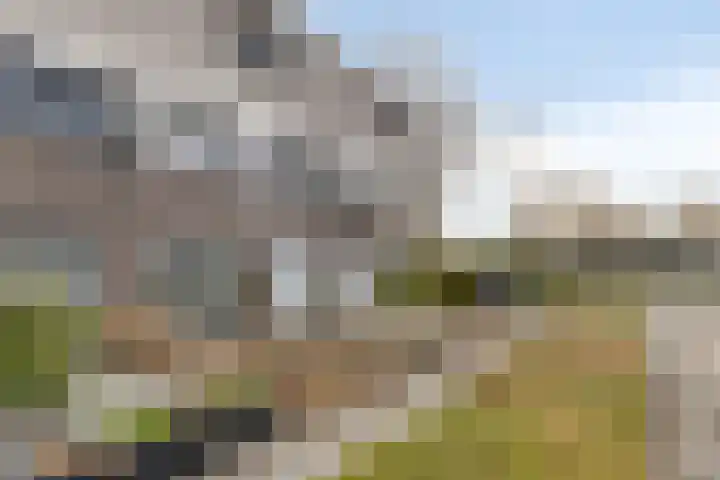 Berenklauw 222 's-Hertogenbosch thumbnail 6