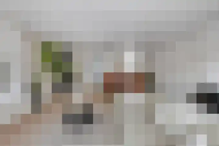 Berenklauw 222 's-Hertogenbosch thumbnail 9