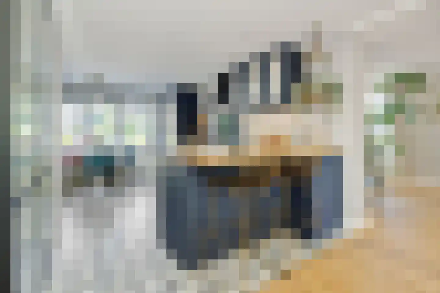 Berenklauw 33 's-Hertogenbosch thumbnail 12