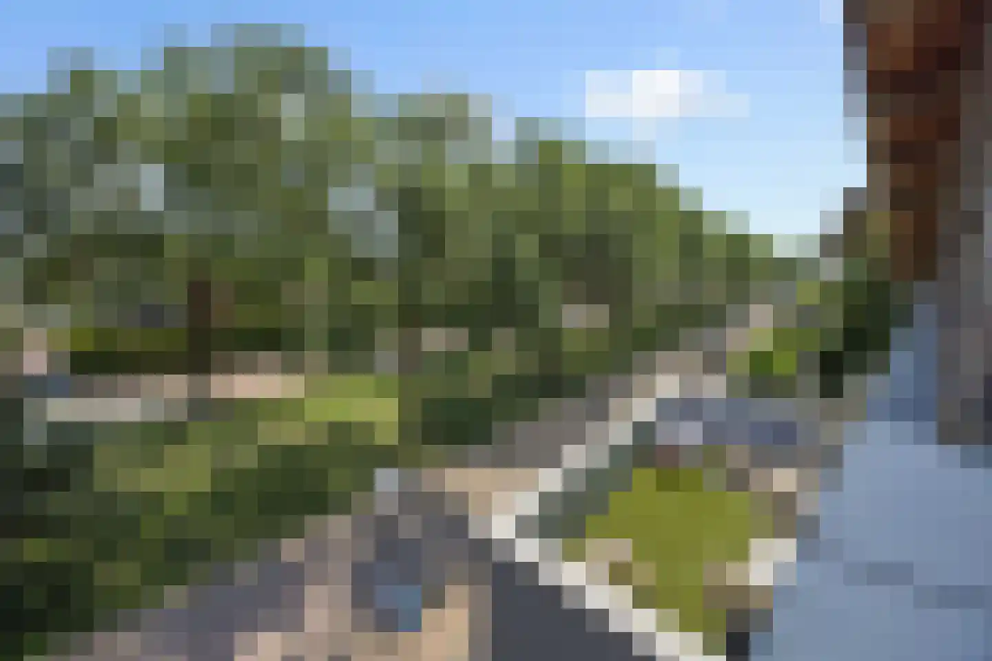 Berenklauw 33 's-Hertogenbosch thumbnail 21