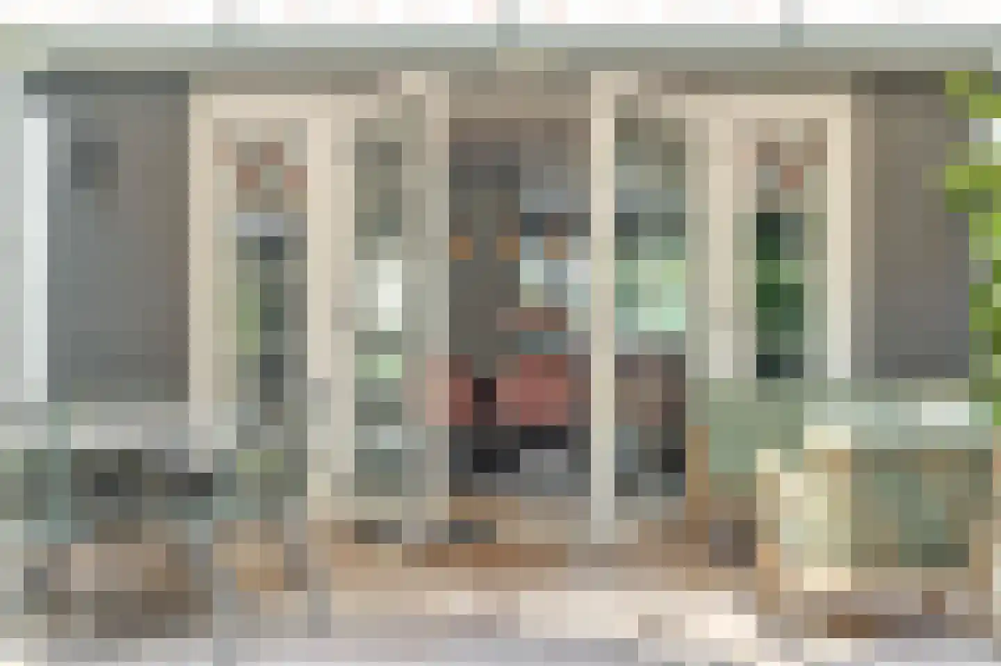 Berenklauw 33 's-Hertogenbosch thumbnail 32