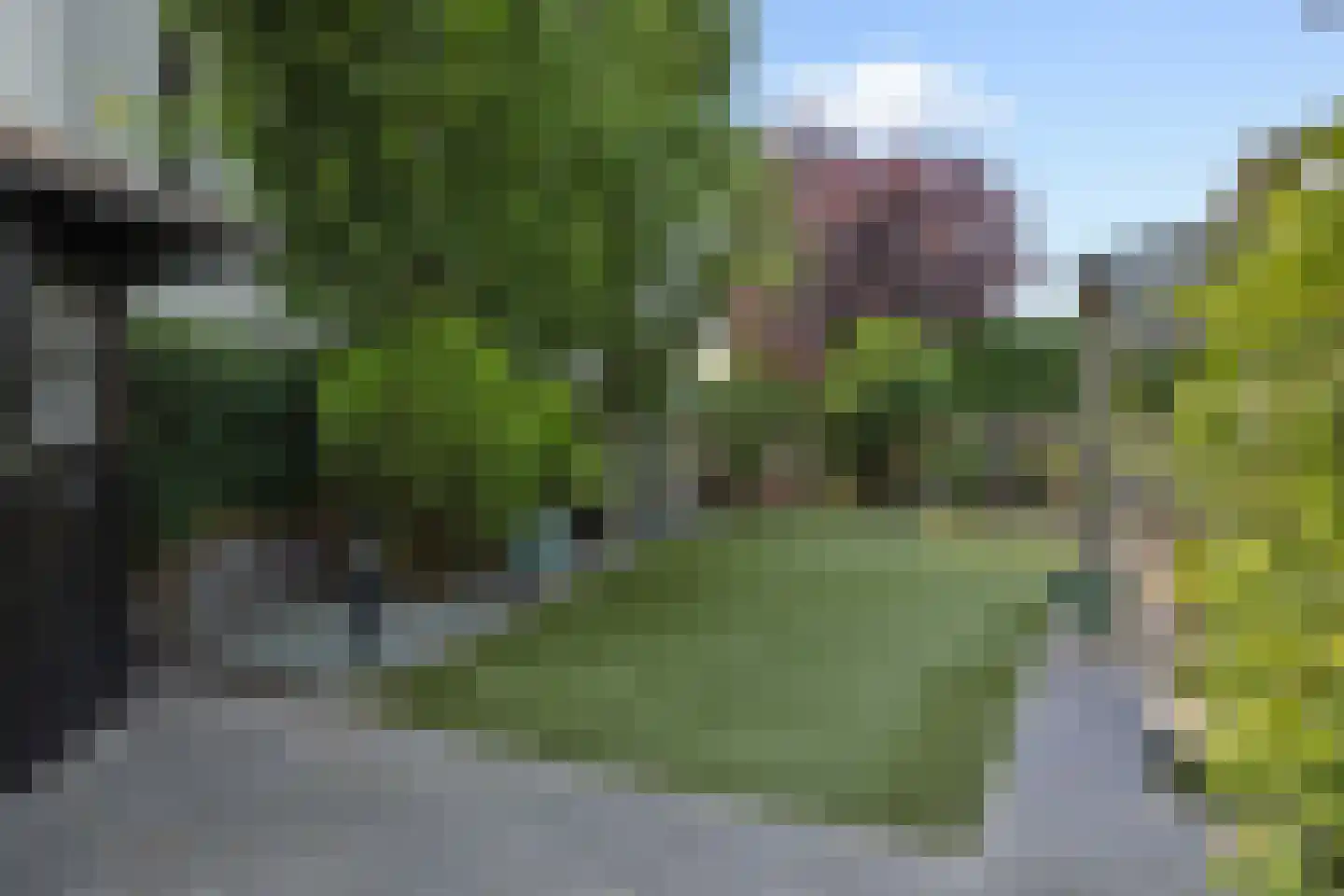 Berenklauw 33 's-Hertogenbosch thumbnail 35
